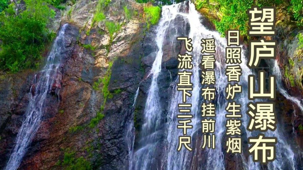 上海飞往这些地方有直飞航线啦!附“出入境专栏”在线预约操作指南